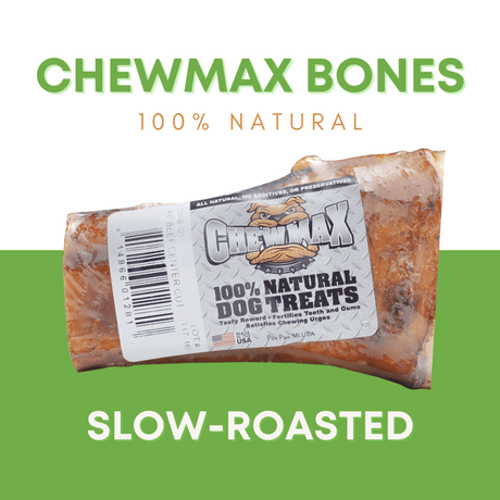 Premium Natural Beef Centre Cut Dog Bone Chew-3