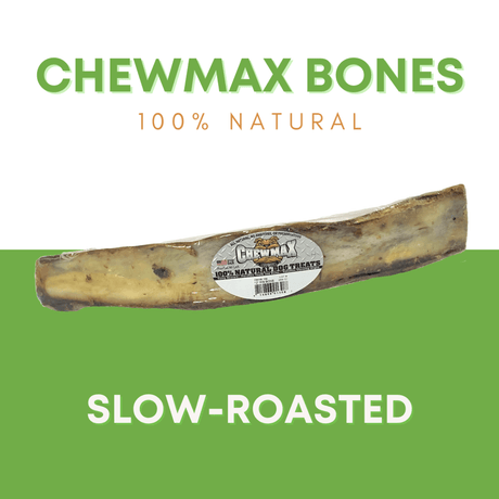Premium 12" Natural Beef Rib Dog Chew Bone-3